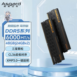阿斯加特 48GB(24GBx2) DDR5 6000 台式机内存条 海姆达尔 马甲条 三星颗粒 CL36 黑厚甲