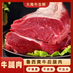 鲁西大角牛 山东 鲁西黄牛腿肉 4斤