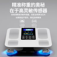 特宝隆 智能精准电子秤