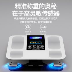 特宝隆 智能精准电子秤