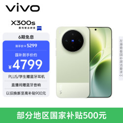 vivo X300s 5G 12GB+256GB