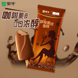 蒙牛 咖啡脆皮雪糕 360g