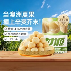 甘源 夏威夷果 芥末味 65g