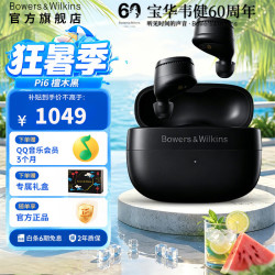 宝华韦健 Pi6 入耳式真无线主动降噪蓝牙耳机 檀木黑