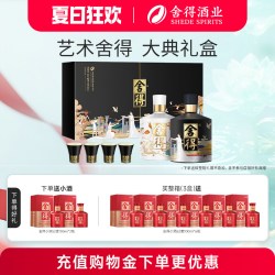舍得 艺术舍得 大典 艺术礼盒 白酒套装  500ml*2瓶 双支装 浓香型 52%vol