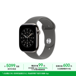 Apple Watch Series 11 智能手表 GPS+蜂窝版 46mm 原色钛金属表壳 岩灰色运动型表带 M/L