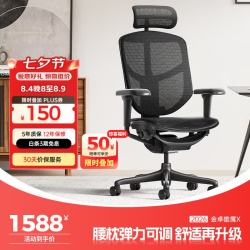 Ergonor 久坐不易累 人体工学椅  黑色网+躺舒宝