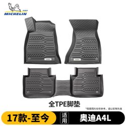 米其林 TPE脚垫 奥迪A4L 高端注塑