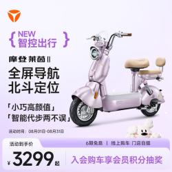 雅迪 摩登莱茵二代 智能电动自行车