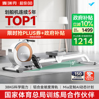 麦瑞克 Q1 磁阻划船机 MRSRM53163 白色 金属 专业款