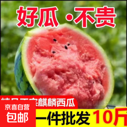 京东 现摘麒麟西瓜一整箱安徽周边次日达包熟包甜坏果包赔新鲜水果西瓜 净重8-10斤