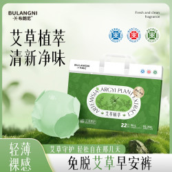 布朗尼 医护级艾草植萃早安裤日安裤卫生巾防漏姨妈巾安心裤 M-L码 22片 80-120斤