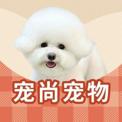 狗洗澡｜1-5KG｜基础洗护