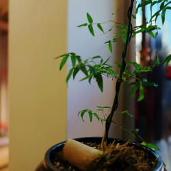 两小时•2-4人•青云