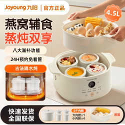 九阳 电炖锅炖盅隔水炖家用陶瓷煲汤电燕窝专用小型煮粥神器全自动