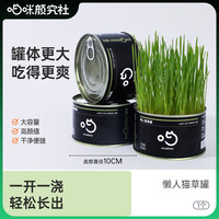 喵咪颜究社 猫草罐头盆栽无土栽培助肠胃蠕动懒人种植精选种子
