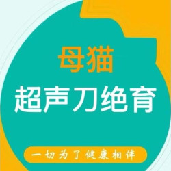 母猫绝育｜超声刀+血常规+腹部超声可留观｜到店服务