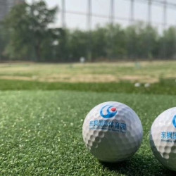 [高尔夫]二楼铁杆畅打1小时