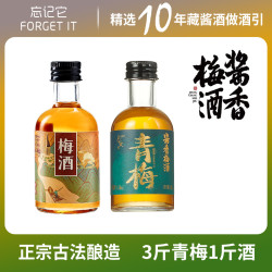 FORGET IT 忘记它 青梅酒 梅子酒 100ml