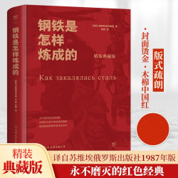 钢铁是怎样炼成的精装版世界经典文学名著长篇小说中学拓展阅读X