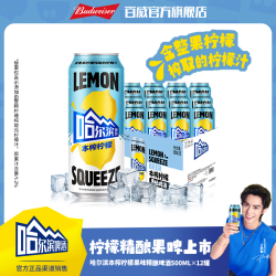 哈尔滨啤酒 麦汁浓度12.5度 柠檬果味啤酒  1x12x500ml 听装 500ml