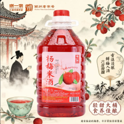 浙一家 鲜浊杨梅果酒甜酒女士微醺酒