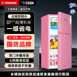 SNOWSEA 42升节能小冰箱小型家用一级能效电冰箱 冷冻租房立式迷你小冰箱