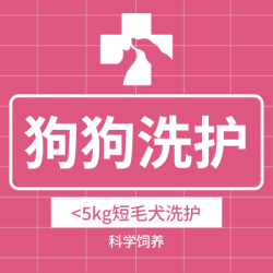 全心全意连锁动物医院 狗洗澡｜小型犬短毛1-5KG·精品洗护｜到店服务