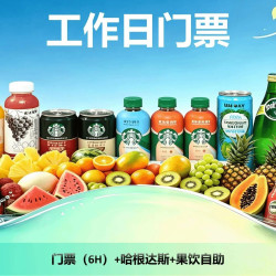 门票（6H）+哈根达斯+果饮自助