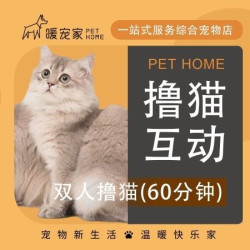 双人60分钟互动
