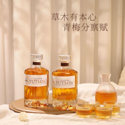 YUTMISO 天然浓郁青梅酒500ml*2瓶装中秋送礼送闺蜜朋友D