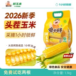 傻小胖 香糯玉米棒玉米段真空锁鲜内蒙古糯玉米试吃