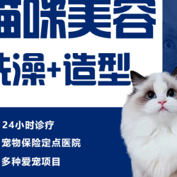美容造型+洗澡