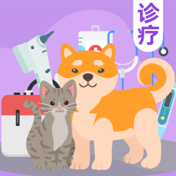 纳吉亚动物医院 犬猫呼吸道六联PCR检测丨到店服务