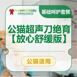 公猫超声刀绝育手术|基础呵护套餐