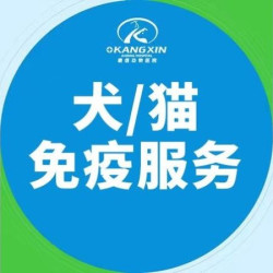 进口犬四联或狂犬疫苗接种｜到店服务