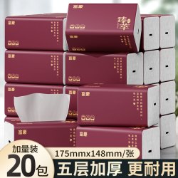 富豪 绛紫系列 抽纸 5层干湿两用 20包(200*200mm)