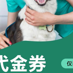 宠物医疗服务 ｜ 1200代金券 ｜ 到店服务