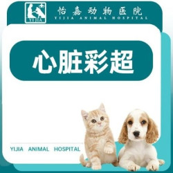 ｜心脏彩超心超检查