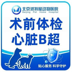 手术前心脏B超检查