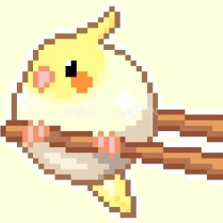 单人1小时•针笔•273色高品质融合豆