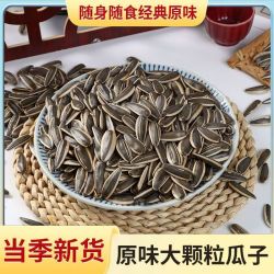 新货原味瓜子葵花籽炒熟干炒瓜子大颗粒追剧炒瓜子零食