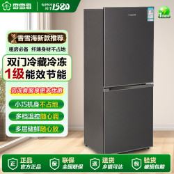 香雪海 206升双开冰箱出租房宿舍立式冷藏冷冻冰箱家用小型电冰箱