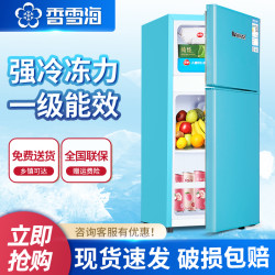 香雪海 小冰箱家用双开门迷你冰箱小型冰箱两用可冷冻冷藏电冰箱