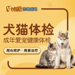 成年爱宠全面健康体检