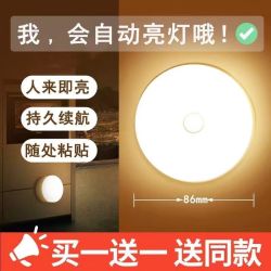 人体感应灯充电床头卧室家用全自动声控光控壁灯小夜灯
