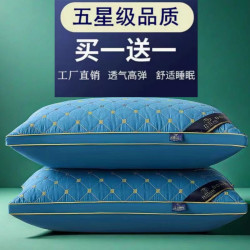 不塌陷不变形星级酒店枕头枕芯一对装护颈高弹家用学生