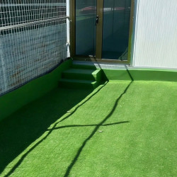 宠物标准间・宜居独栋小屋16㎡