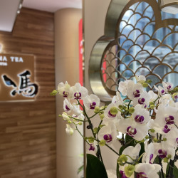 八马茶业 单人大堂随饮品茗套餐