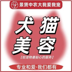 小型犬美容造型